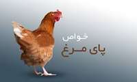 خواص بی نظیر مصرف پای مرغ